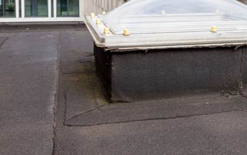 disadvantages of Orcheston flat roofs