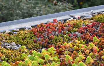 the cost of Orcheston green roof installation